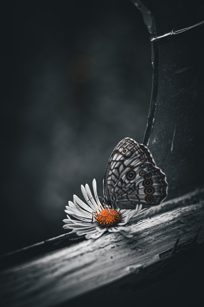 Portfolio annaosintseva 2026-09-14