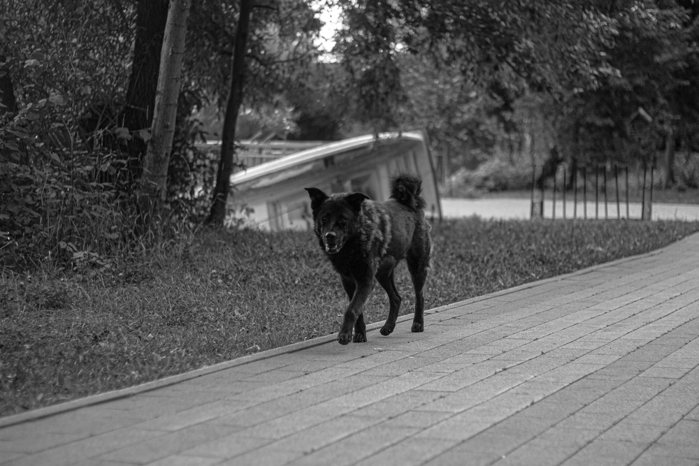 Portfolio alexanderfursa 2026-09-16
