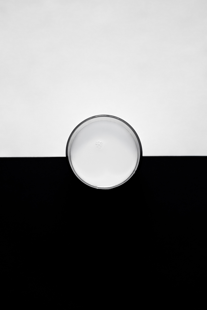 Portfolio mrfriman19 2026-09-16