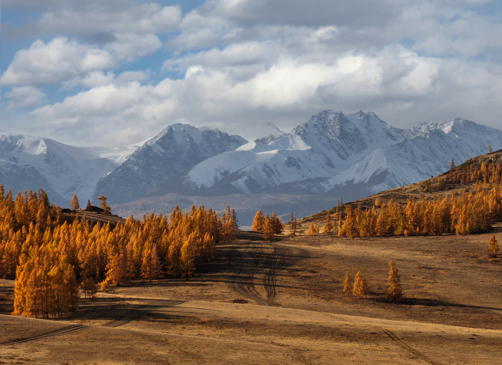 Осень, горы, Алтай