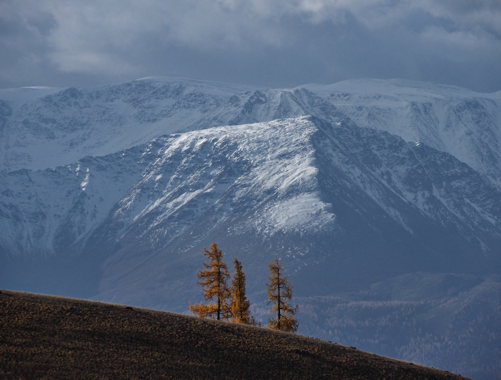 Осень, горы, Алтай