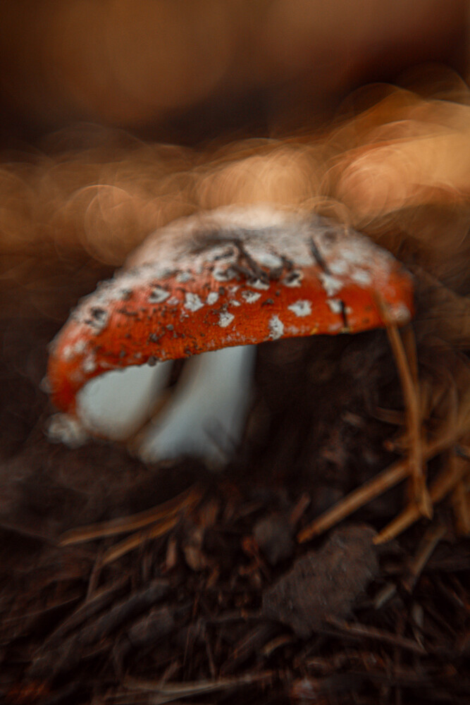 Photo 29980871