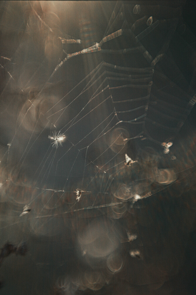 Photo 29980878