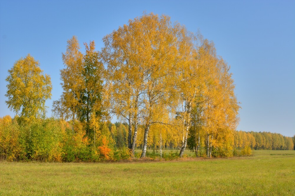 Бабье лето