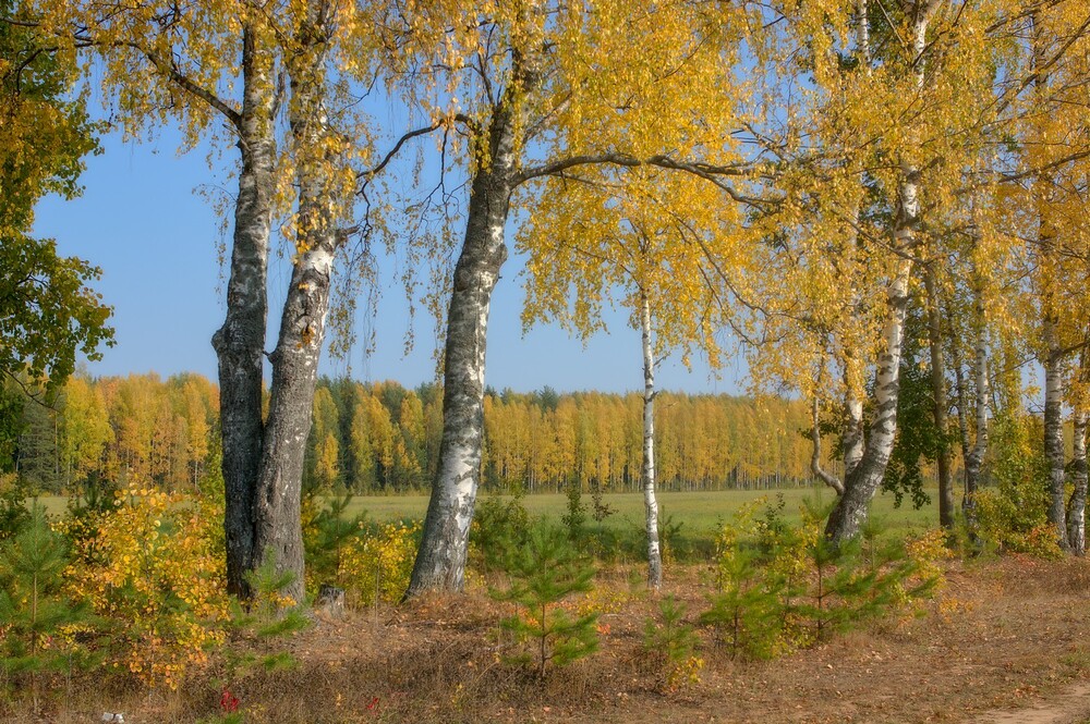 Бабье лето