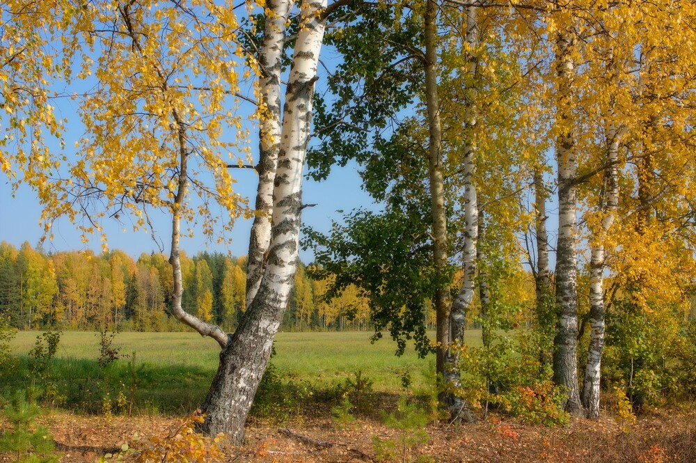 Бабье лето