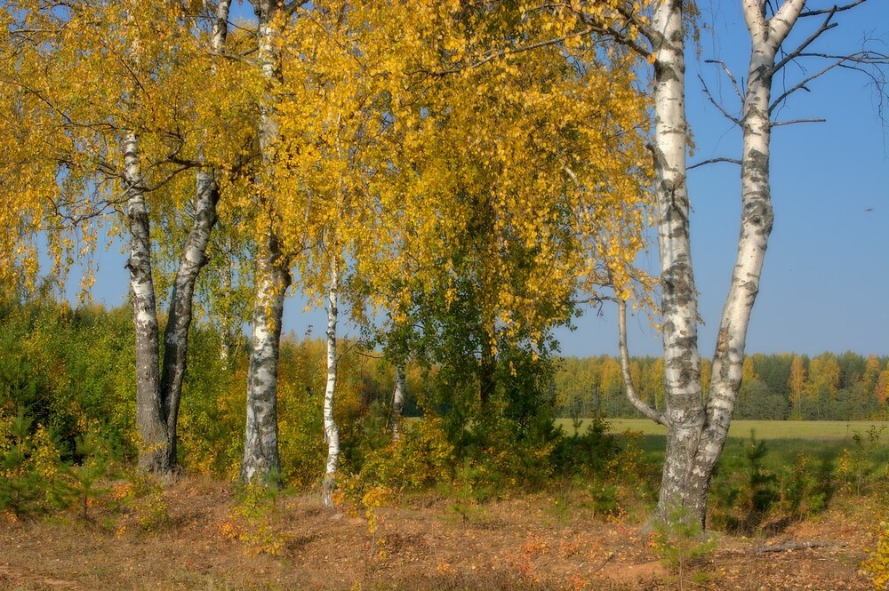Бабье лето