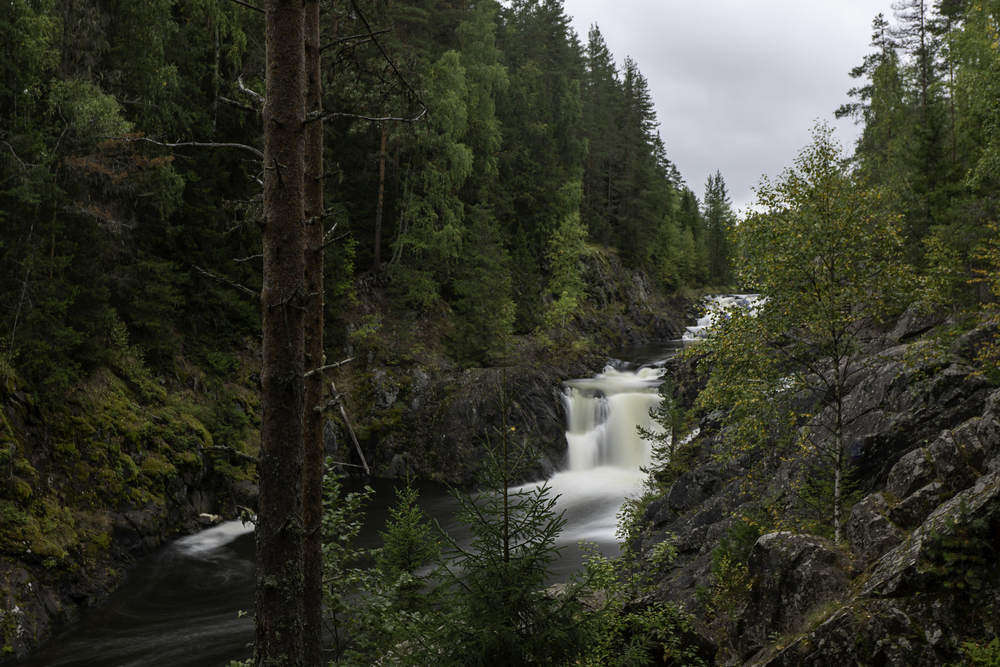 Photo 29981151