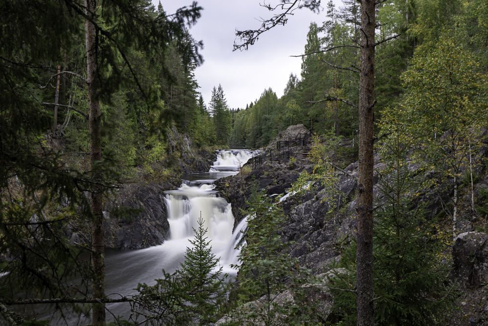 Photo 29981152