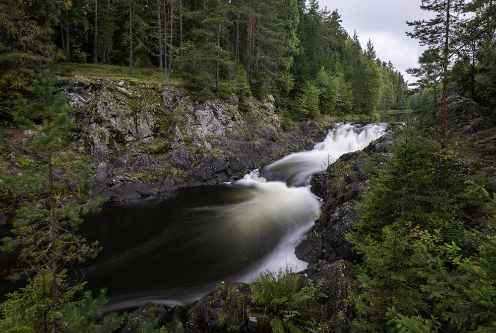Photo 29981153