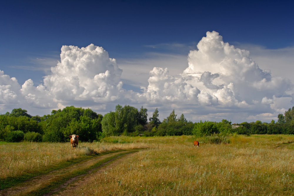 Portfolio kondaurov1975 2026-09-19