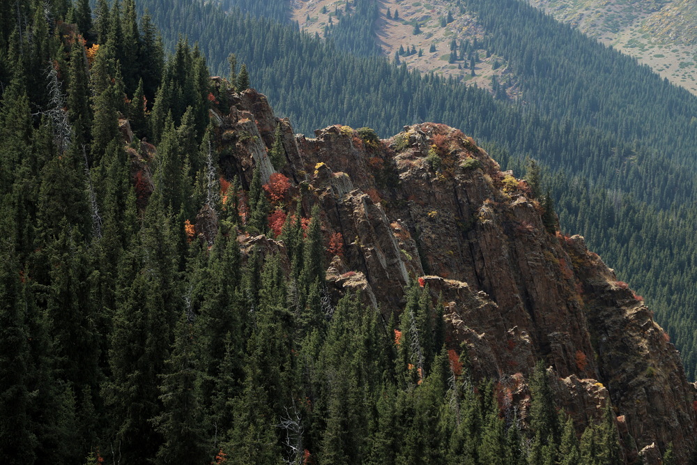Photo 29981371