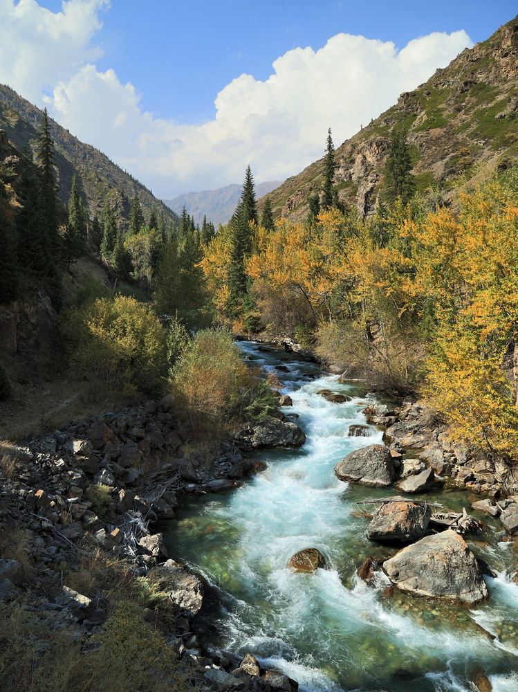 Photo 29981373