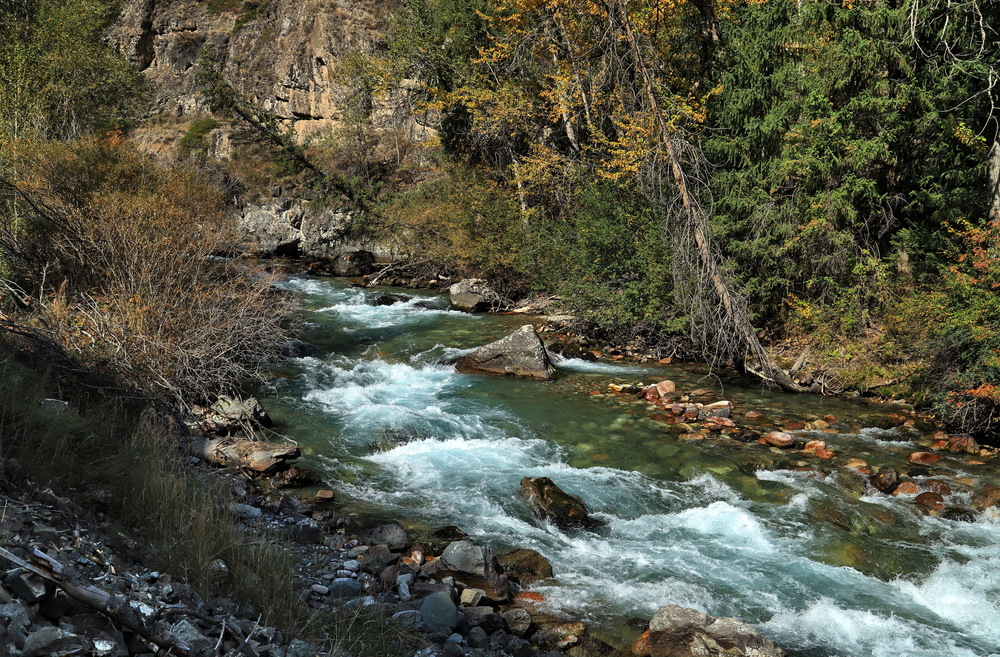 Photo 29981374