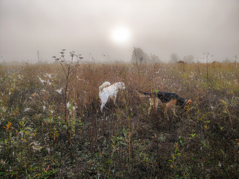 Photo 29981768