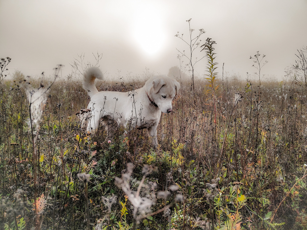 Photo 29981769