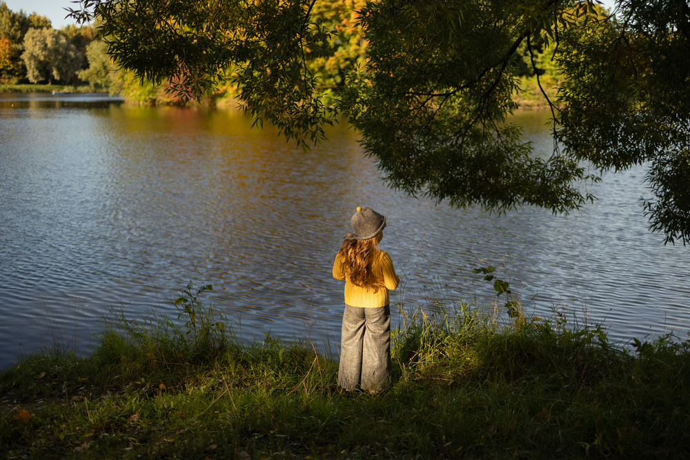 Photo 29982269
