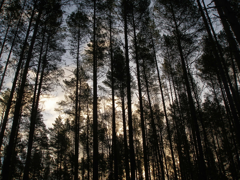 Portfolio arseniydolgiy 2026-09-24