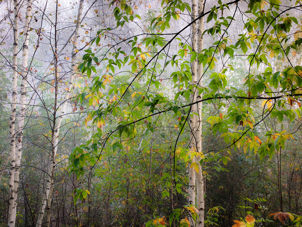Photo 29983357