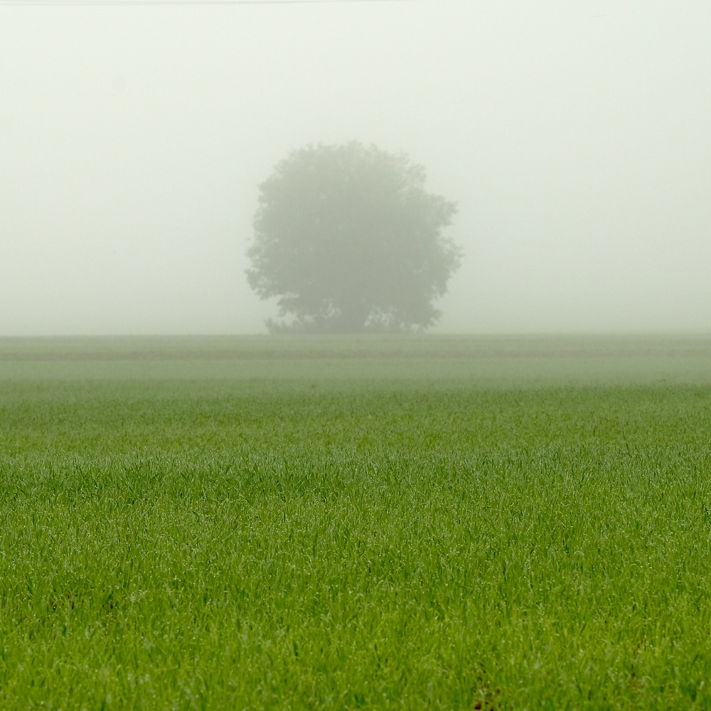 Portfolio idenis56 2026-09-27