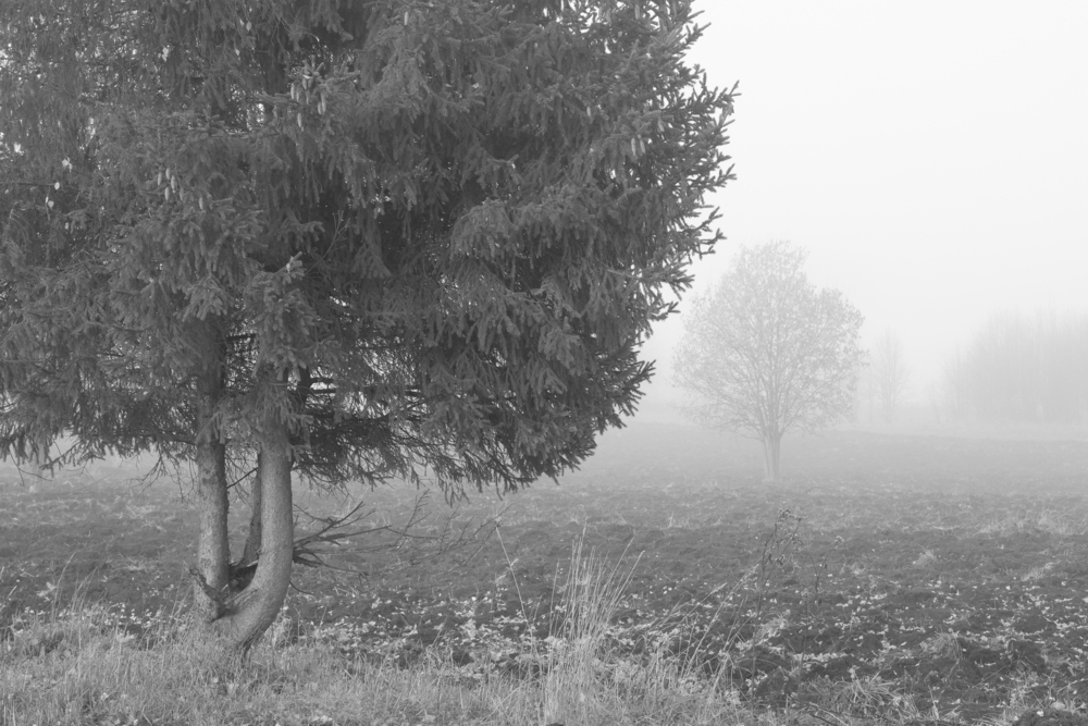 Portfolio idenis56 2026-09-27