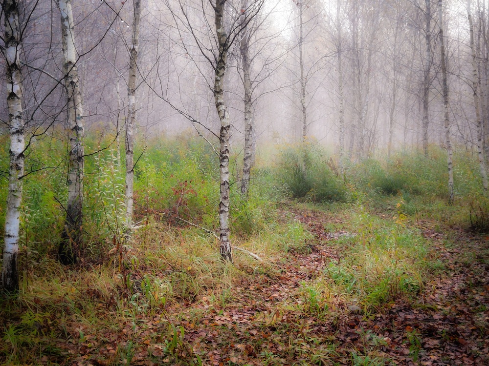 Photo 29983690