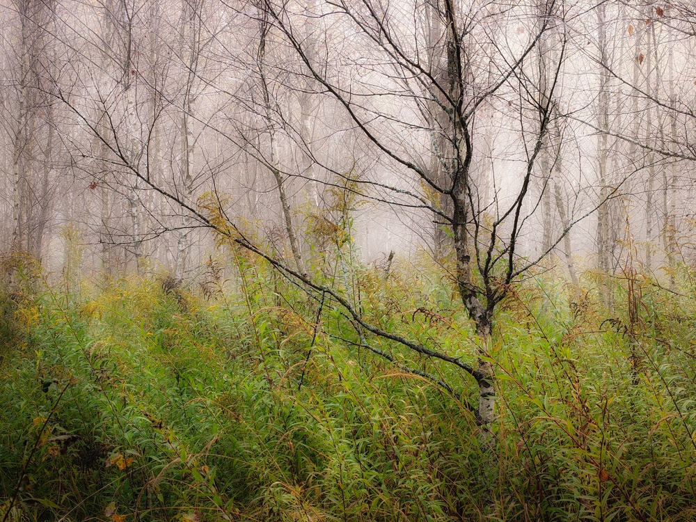 Photo 29983691