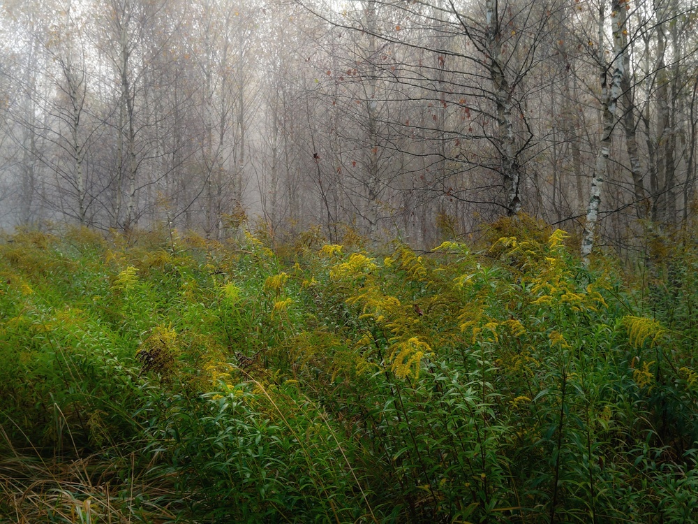 Photo 29983692