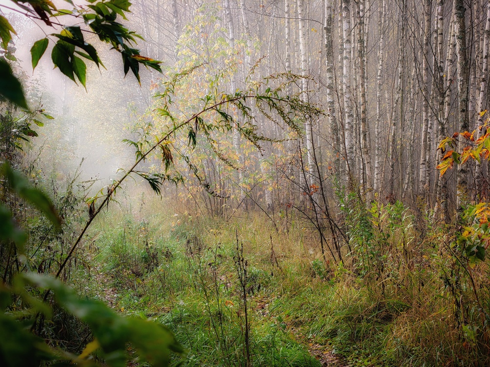 Photo 29983694
