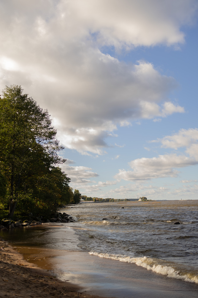 Photo 29984075