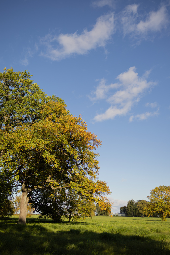 Photo 29984076