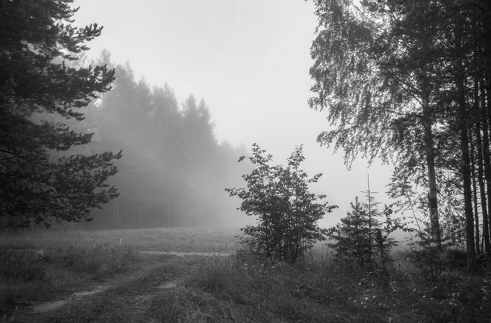 Одно туманно-загадочное летнее утро
