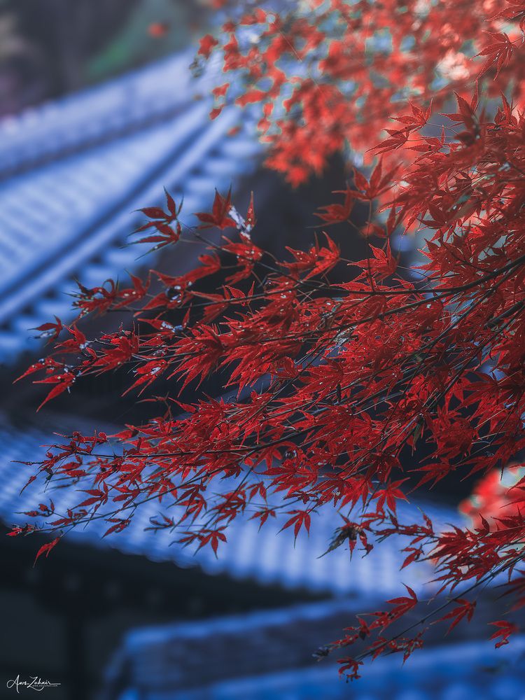 Nanzen Ji Temple