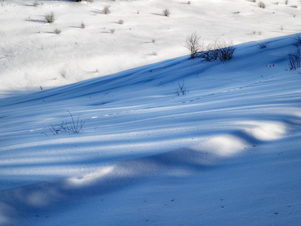 Photo 2999384