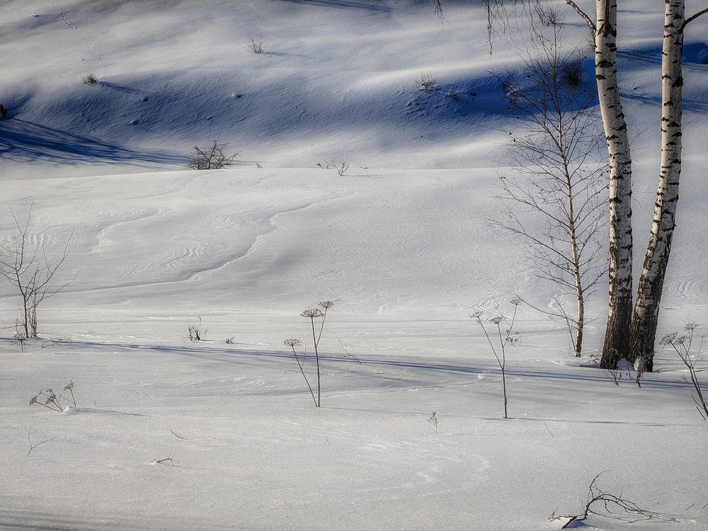 Photo 2999387