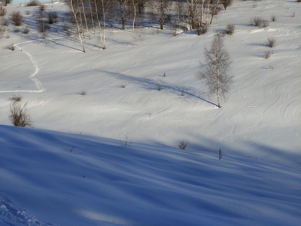Photo 2999388