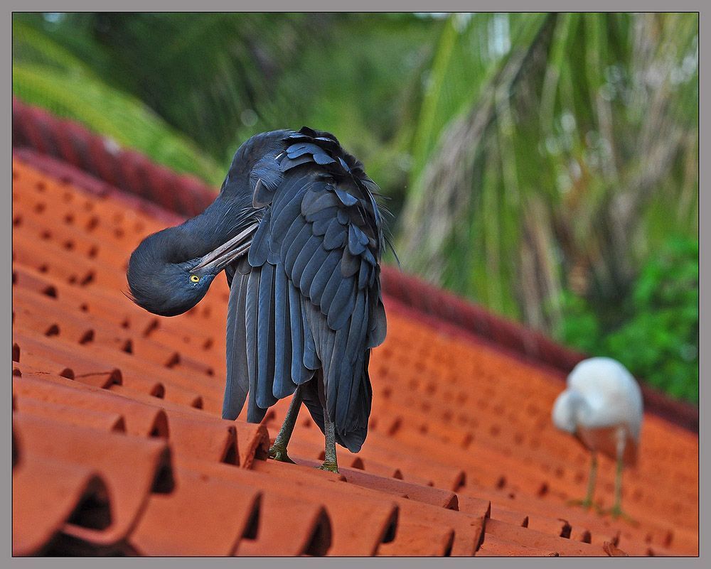 не забывая о личной гигиене...