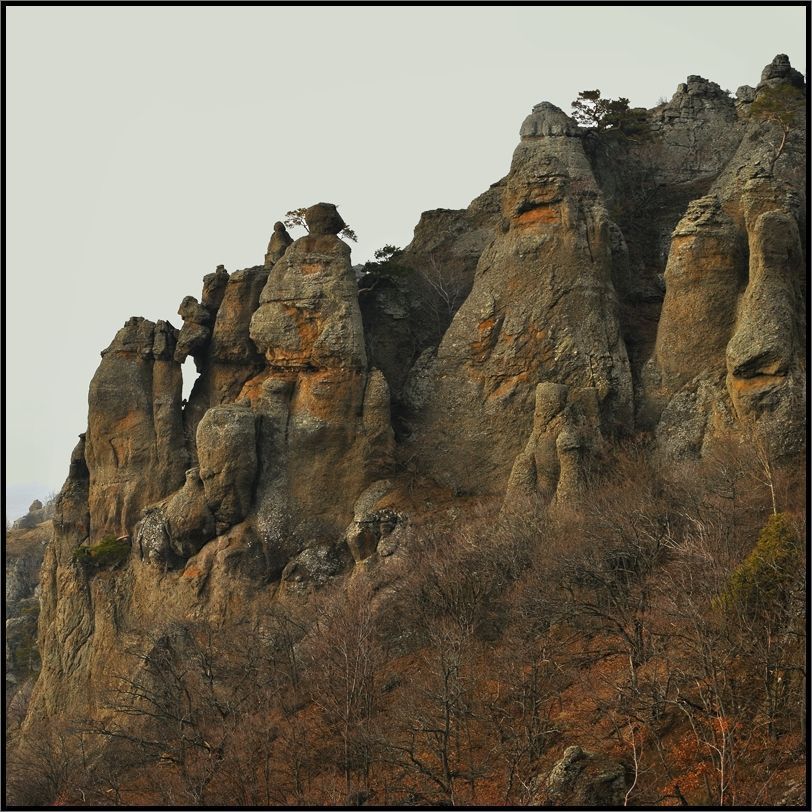 Многоликая