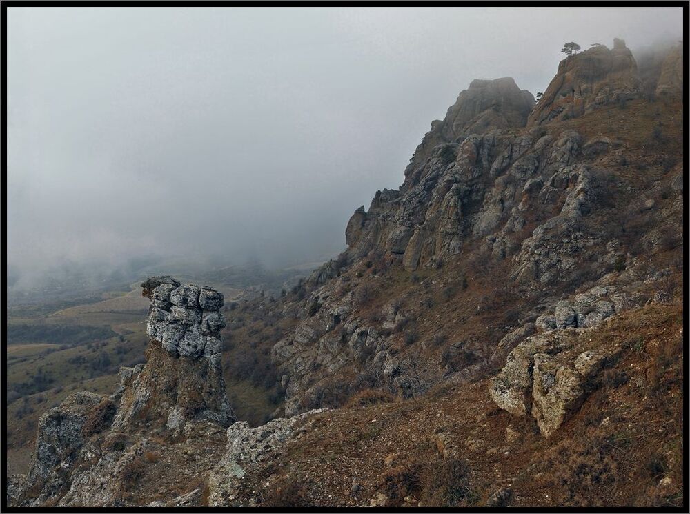 Многоликая