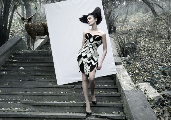 2011 Anna Miminoshvili