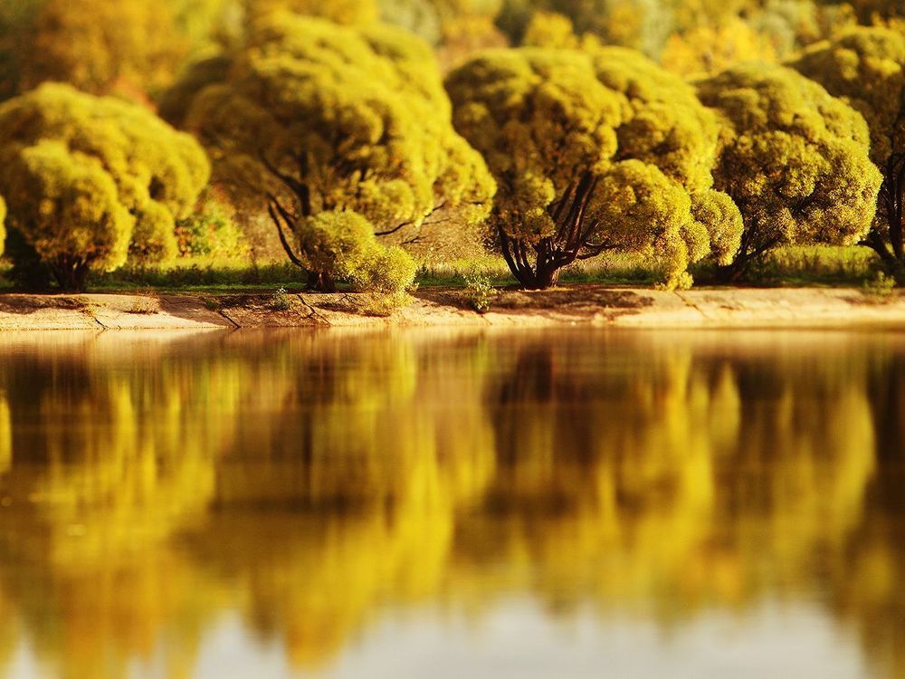 Tilted autumn.