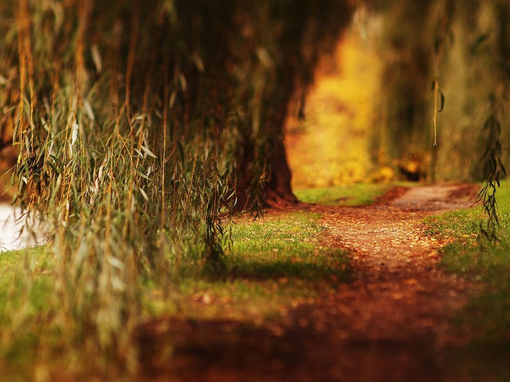 Tilted autumn.