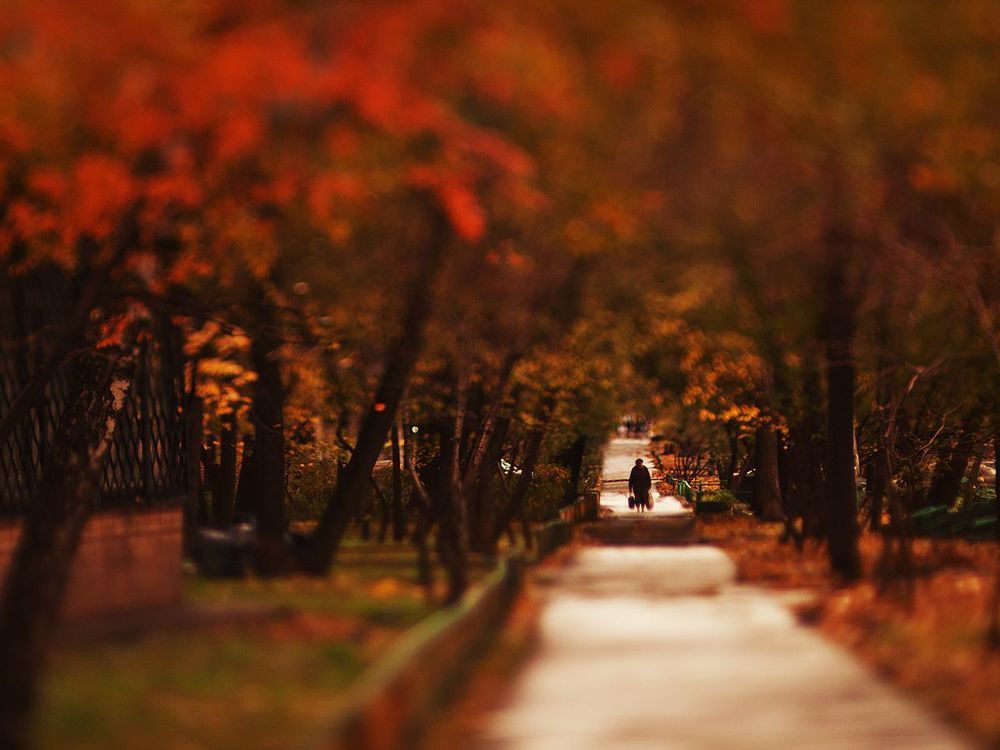 Tilted autumn.