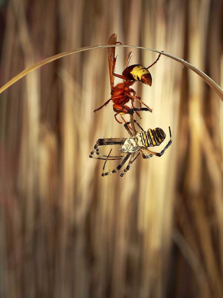 Трагическое стечение обстоятельств...
