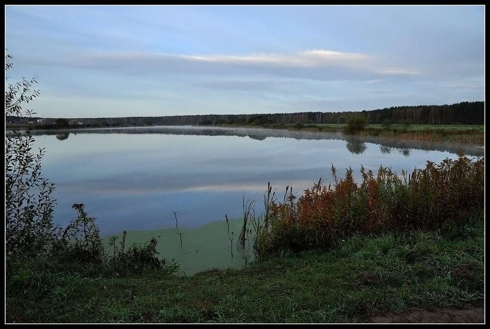 На  пруду