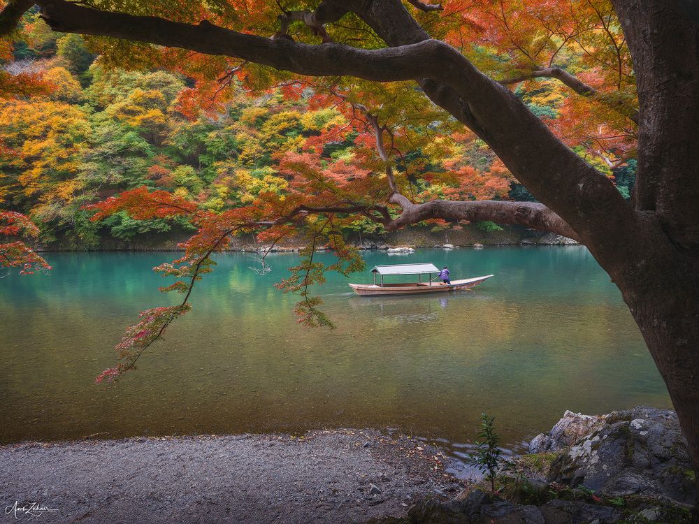 Autumn Vibe