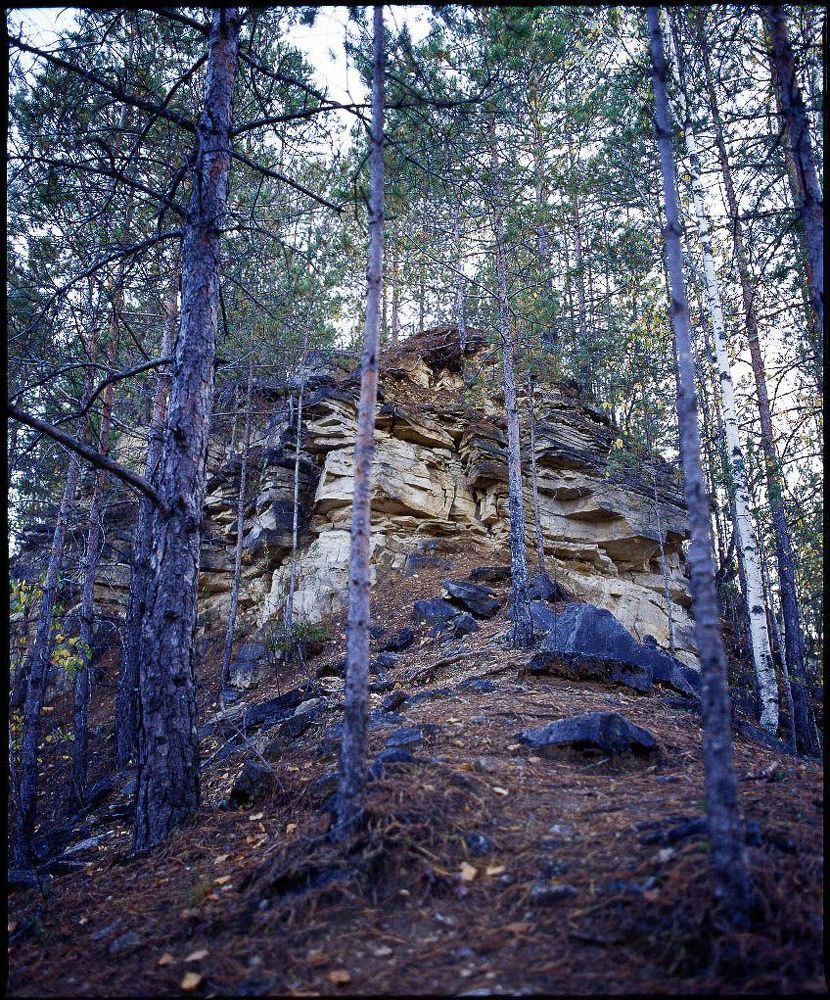 Photo 301958