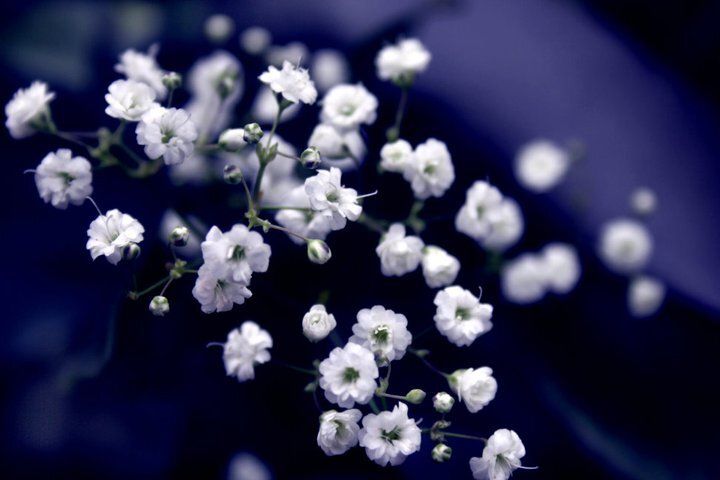 blue world.