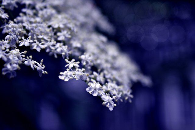 blue world.