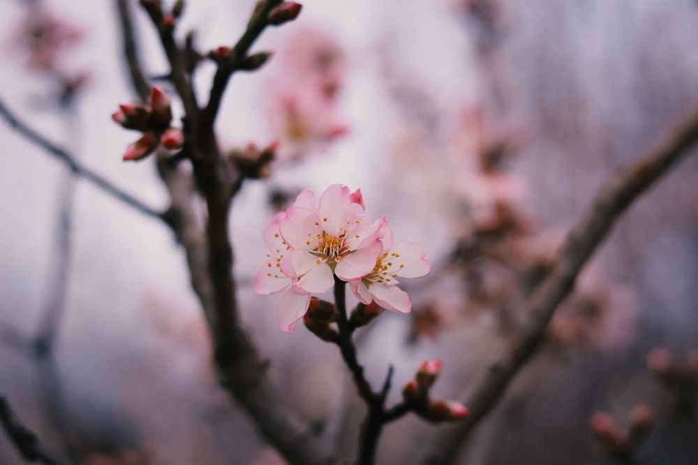 Spring time!